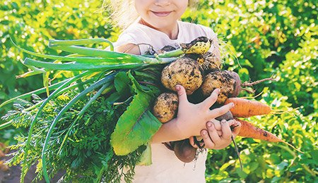 Pediatric Food Allergies And Microbiome