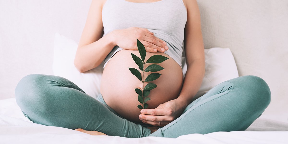 Pregnancy Checklist, How to Prepare for Pregnancy